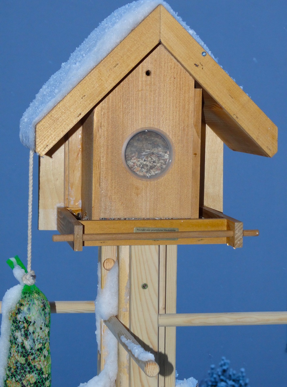 bird seed house bird seed bird food free photo