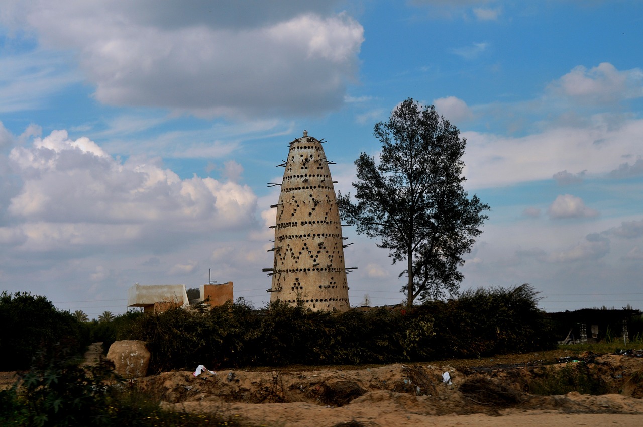 bird tower egypt tower free photo