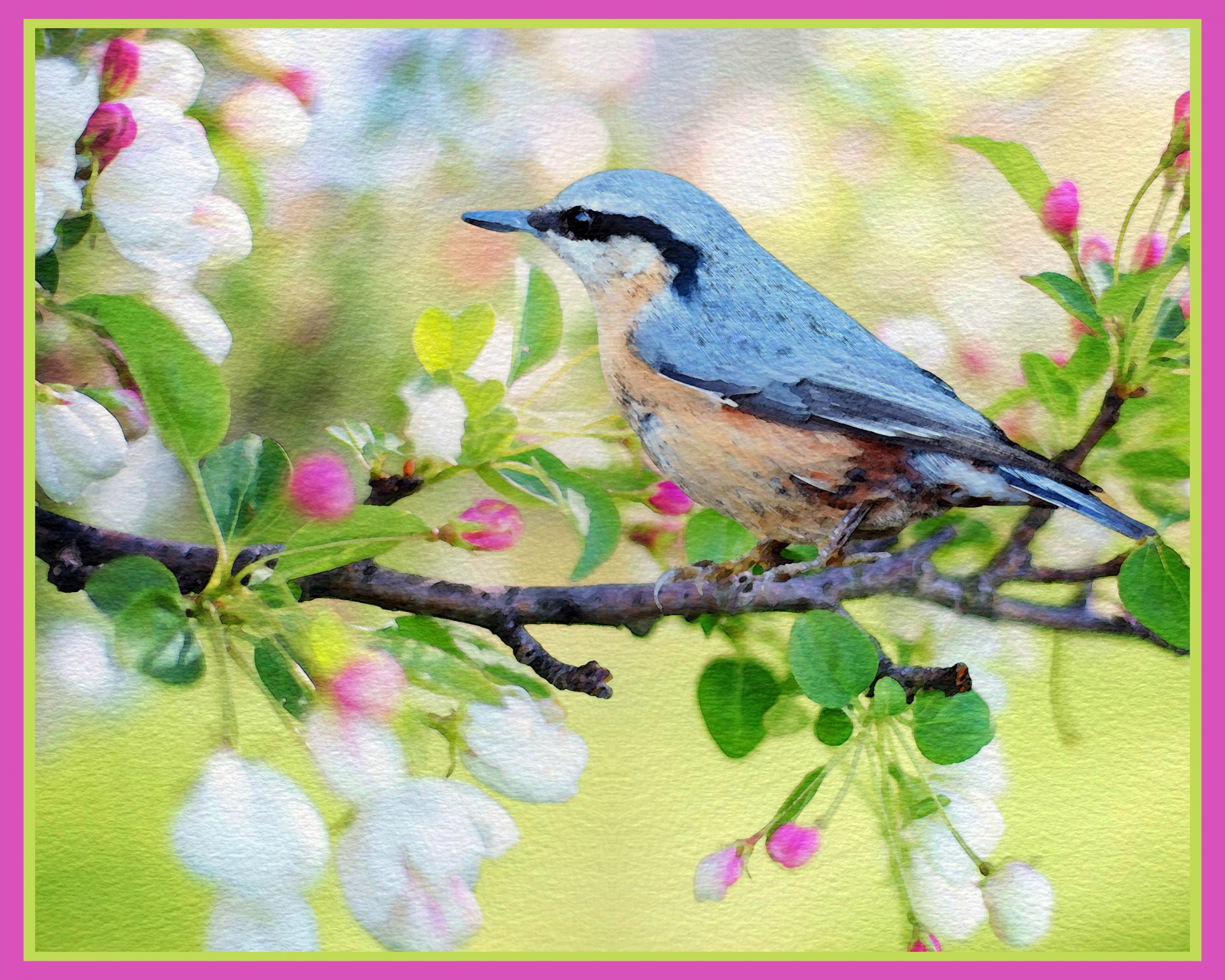 bird watercolor watercolour free photo