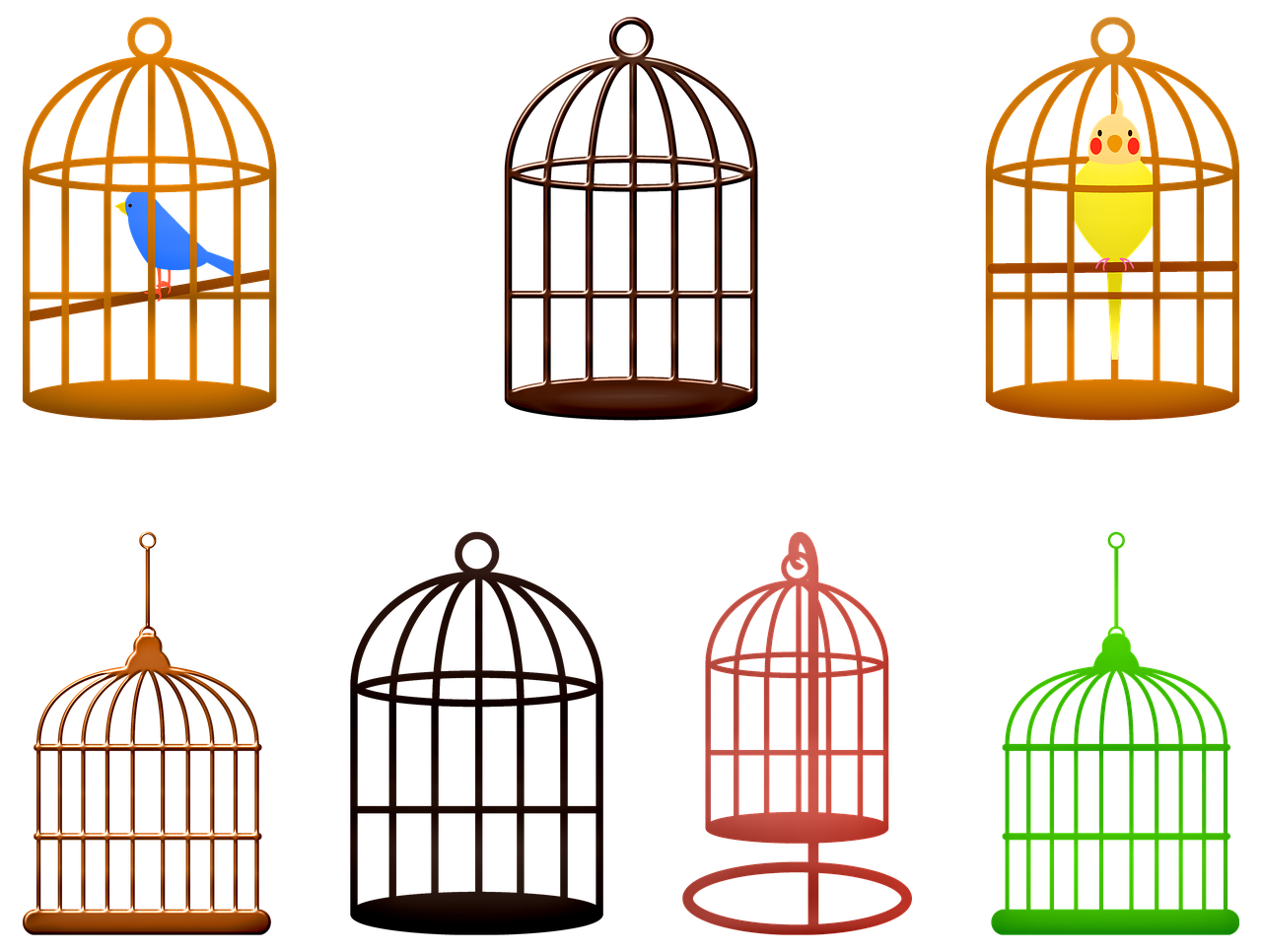 birdcage  birds  colorful free photo