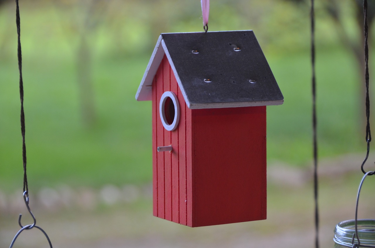 birdhouse house birds cottage free photo