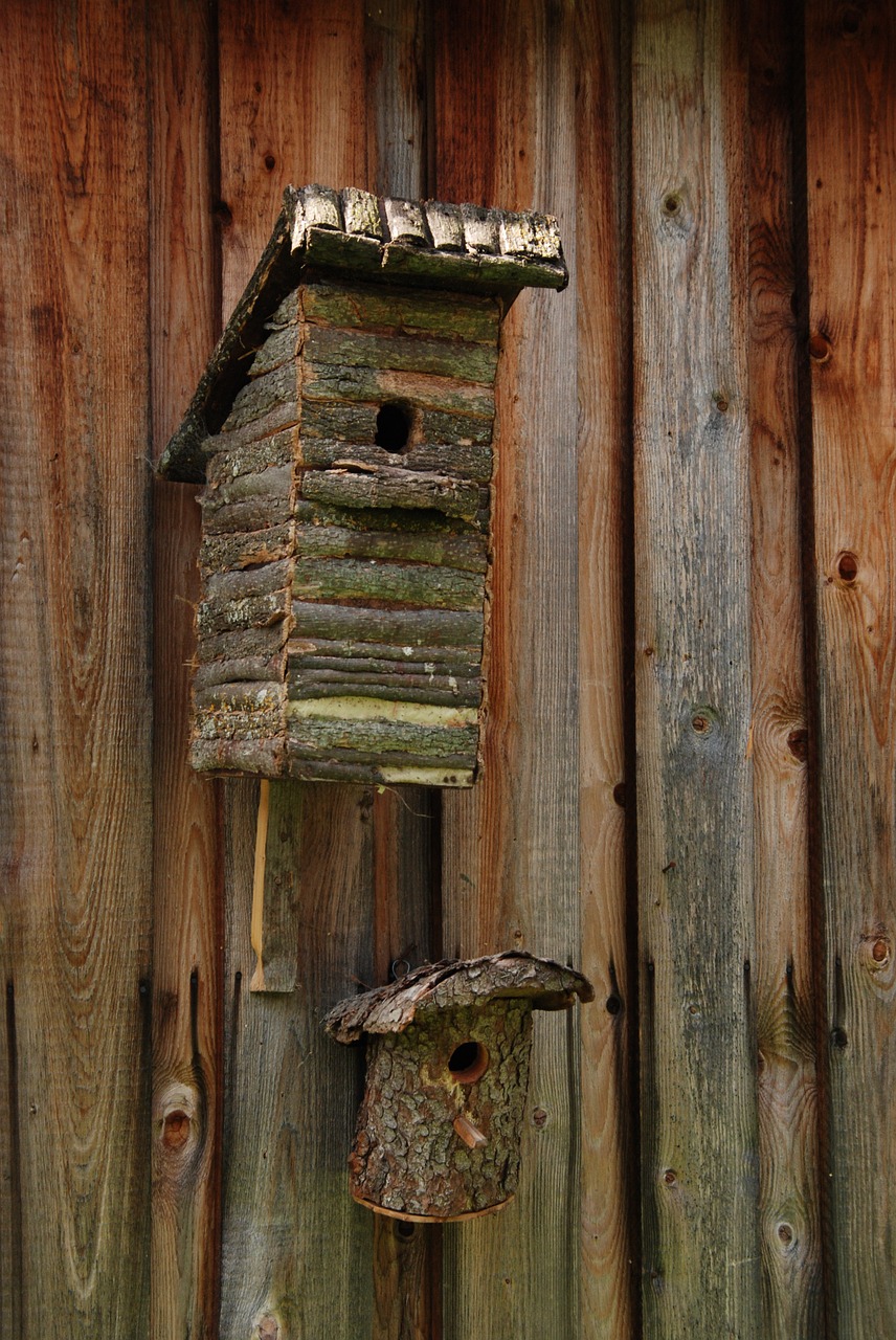 birdhouse bird nest