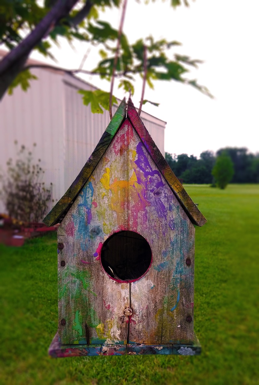 birdhouse bird house free photo