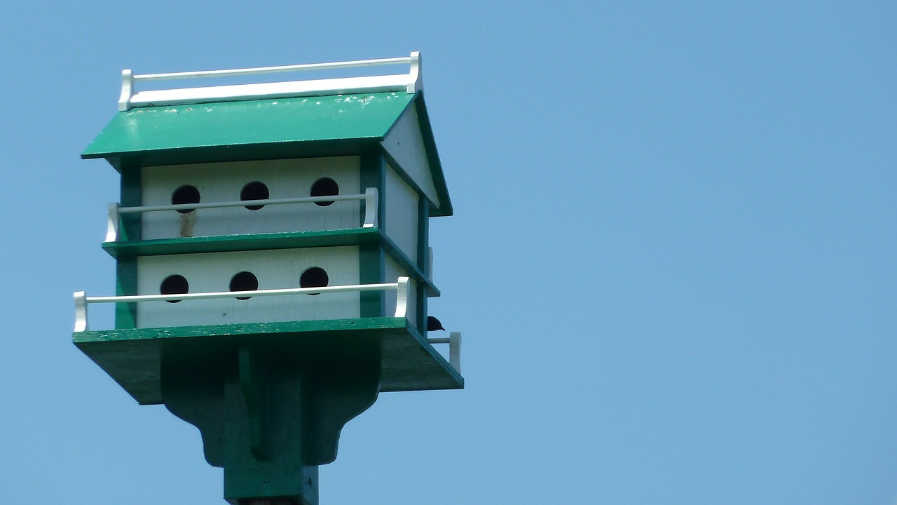 birdhouse bird nesting free photo