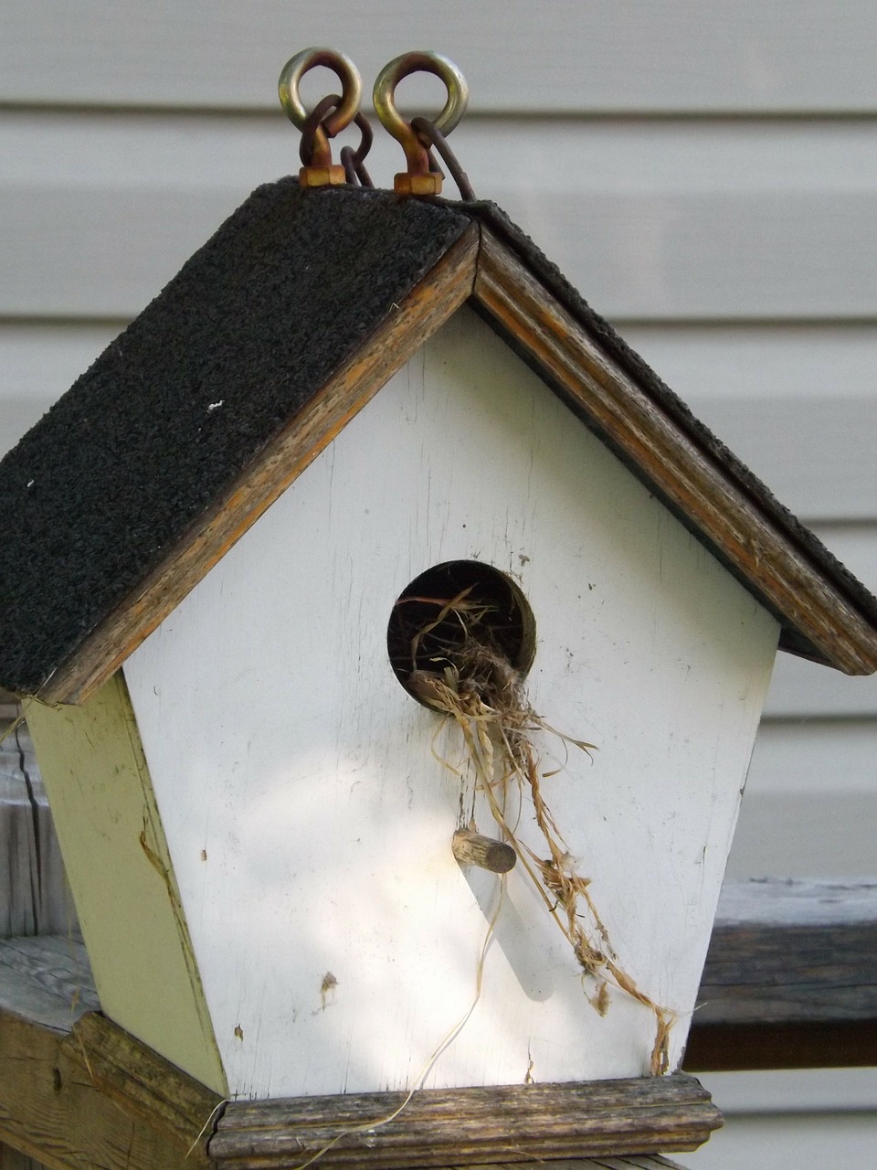 birdhouse nesting white free photo