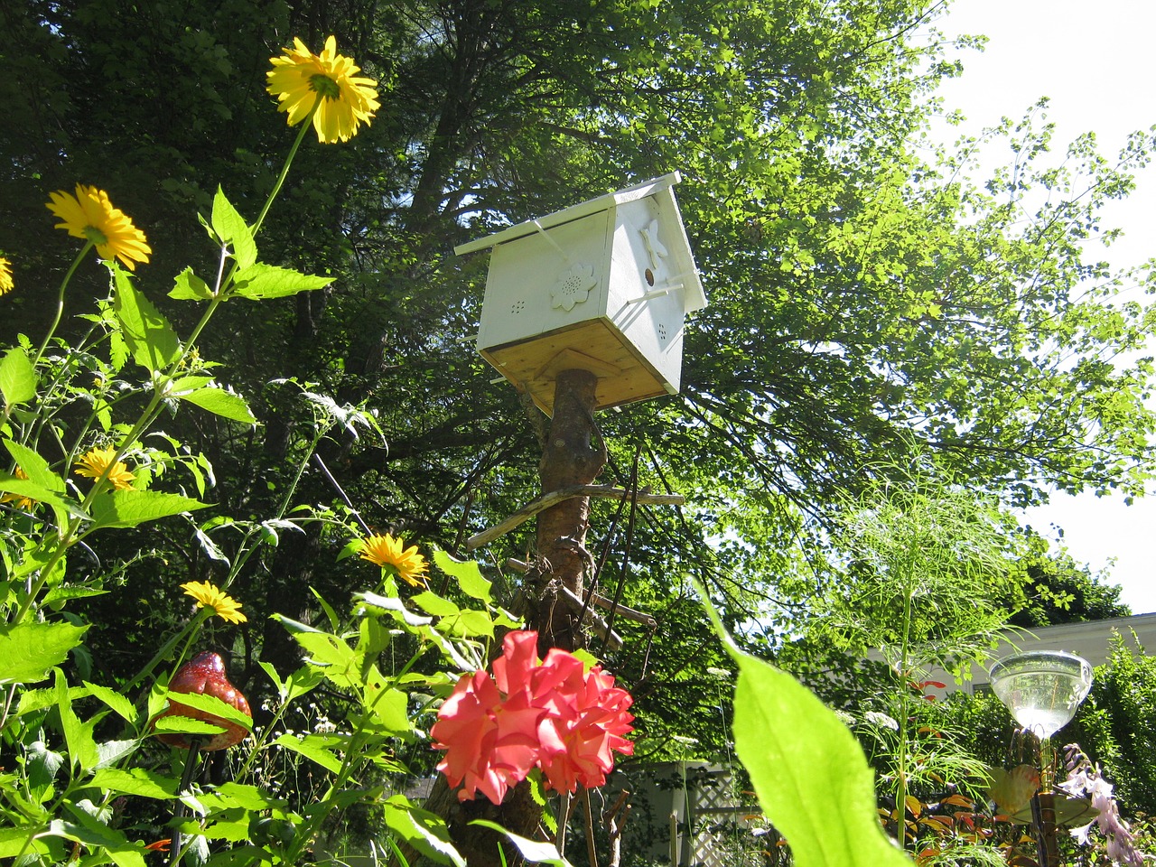 birdhouse garden nature free photo
