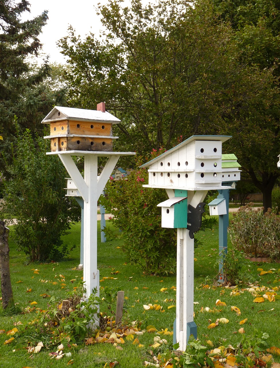 birdhouse bird wildlife free photo