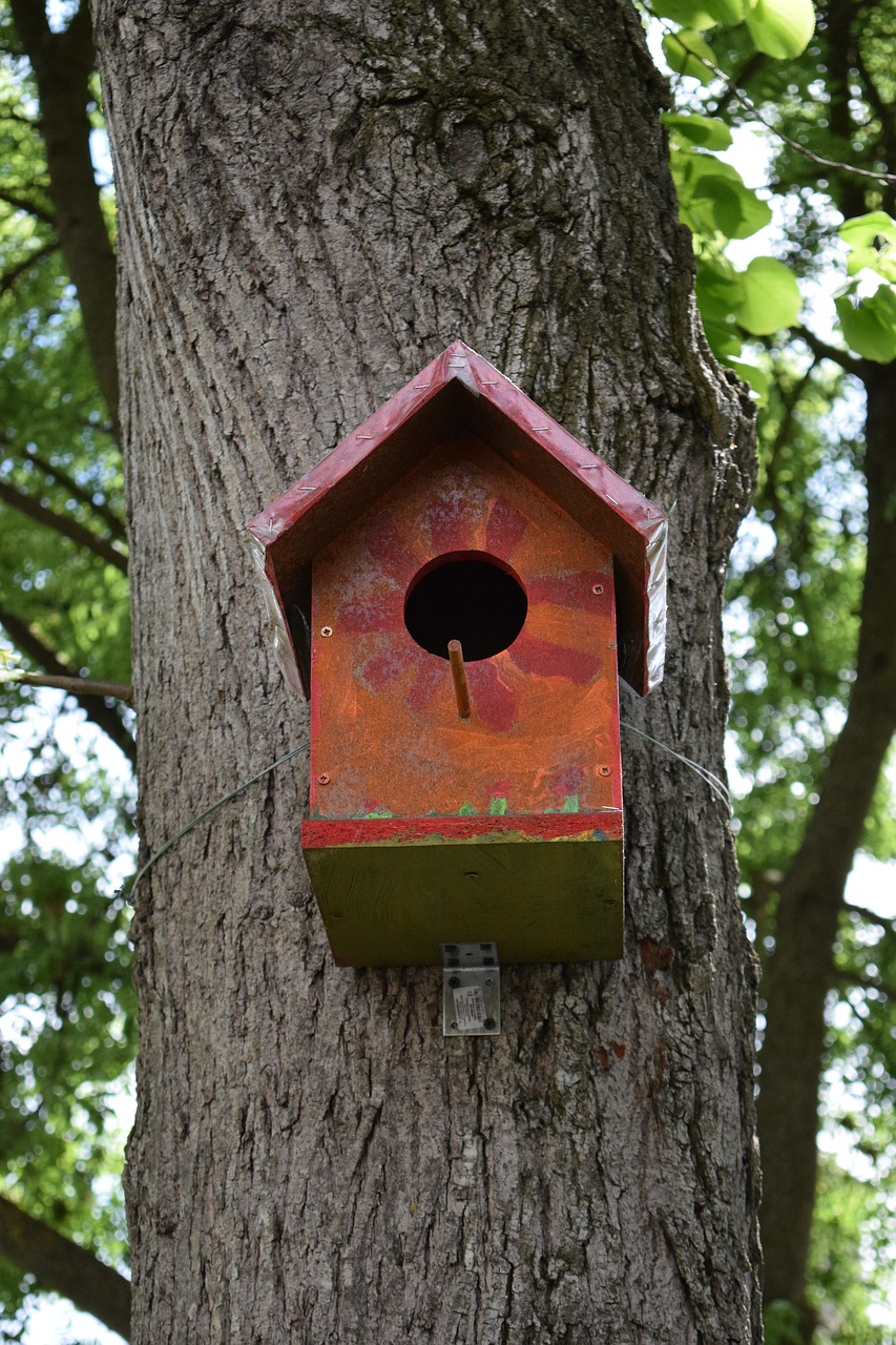 birdhouse bird home free photo
