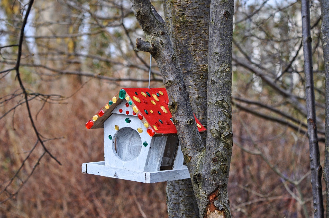 birdhouse nesting box nesting free photo