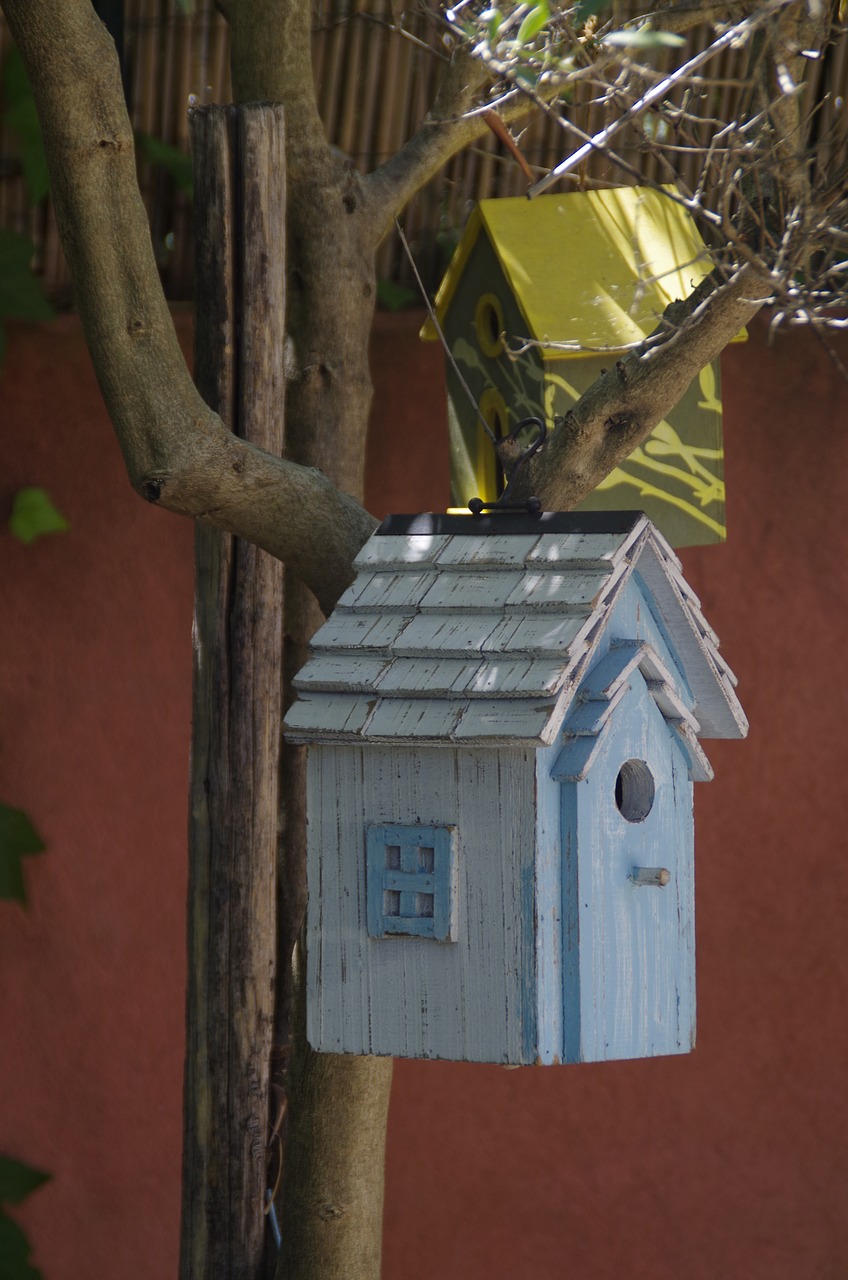 birdhouse house wood free photo