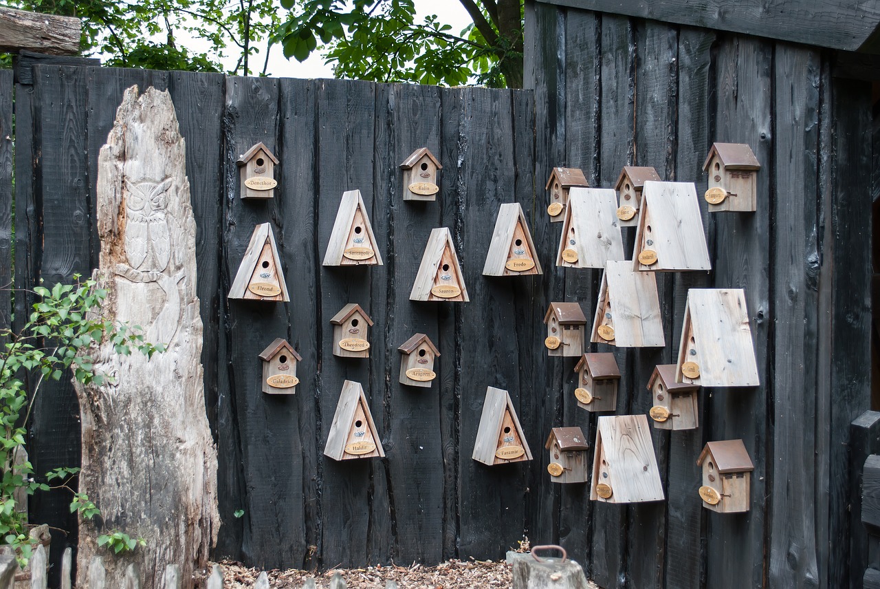 birdhouse  nest boxes  wood bird cage free photo