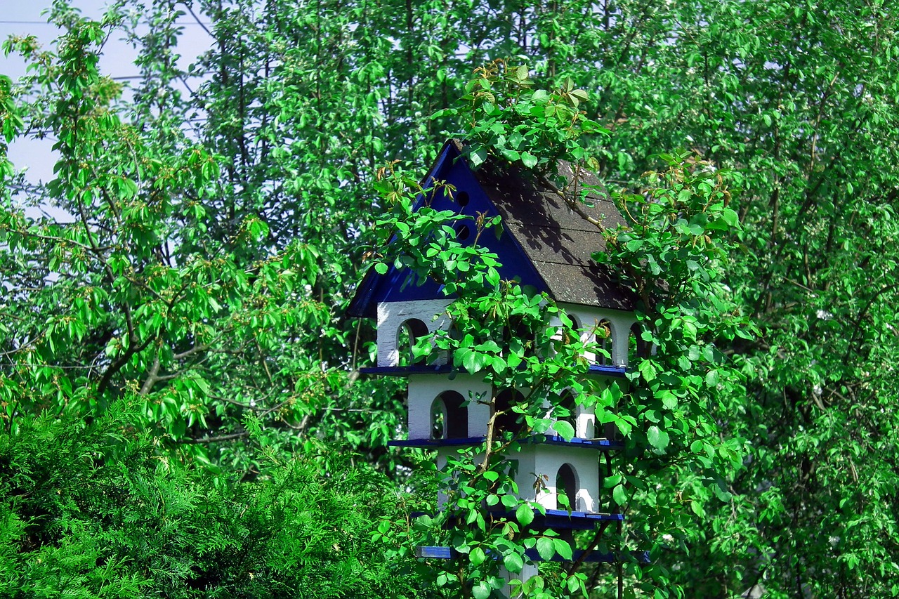 birdhouse  colored  nature free photo