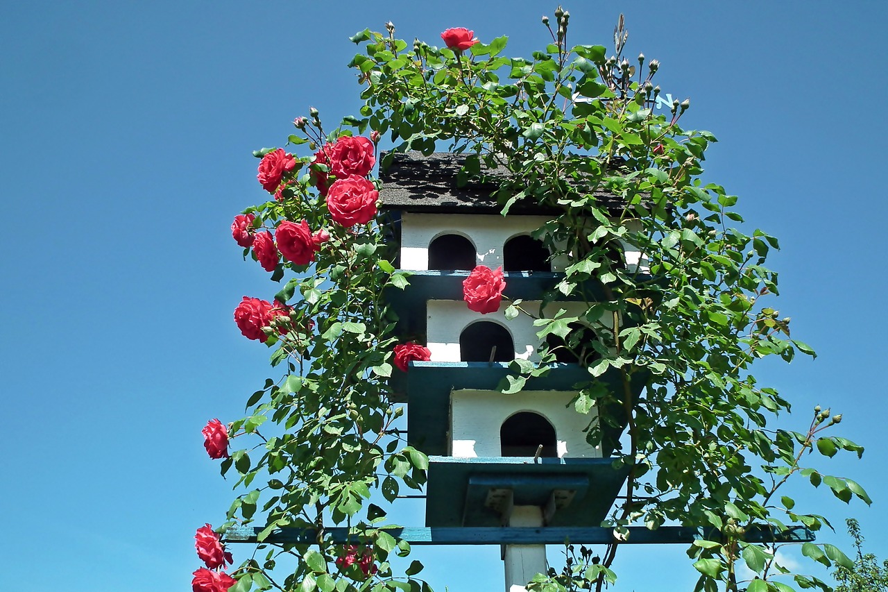 birdhouse  garden  decoration free photo