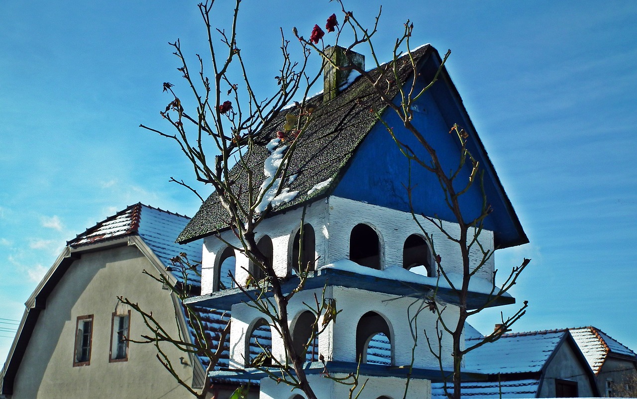 birdhouse  the roofs  winter free photo