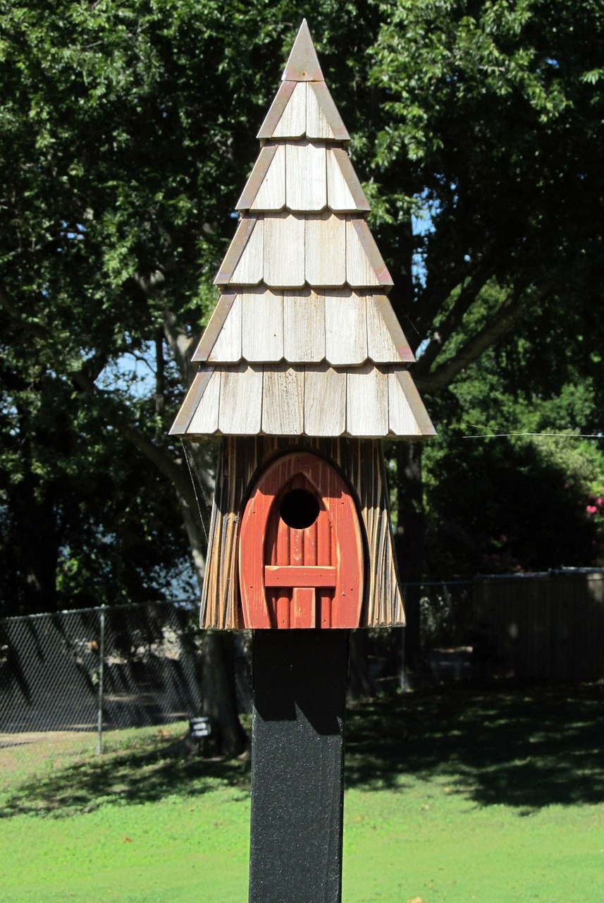 birdhouse bird house free photo