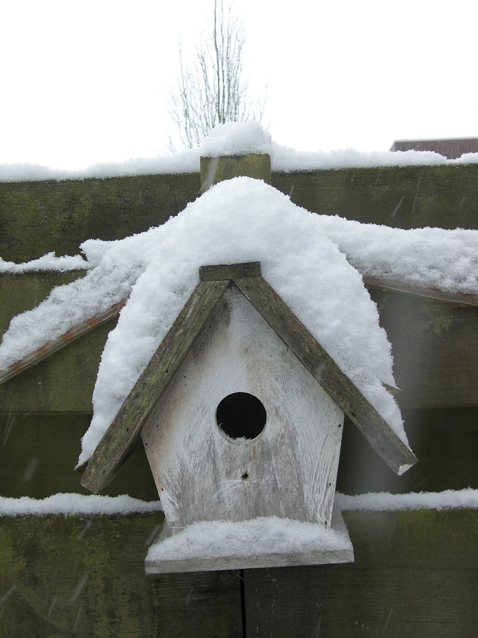 birdhouse snow winter free photo