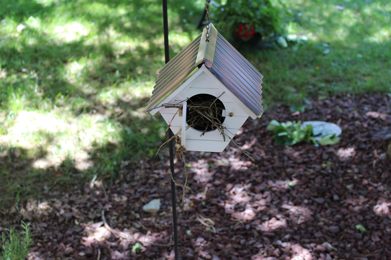 birdhouse garden bird house free photo