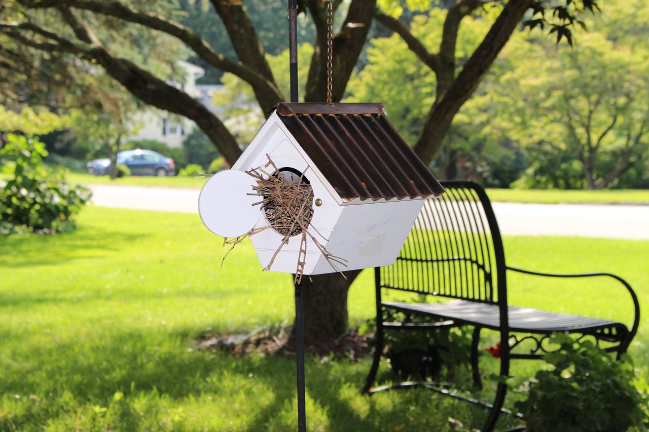 birdhouse bench garden free photo