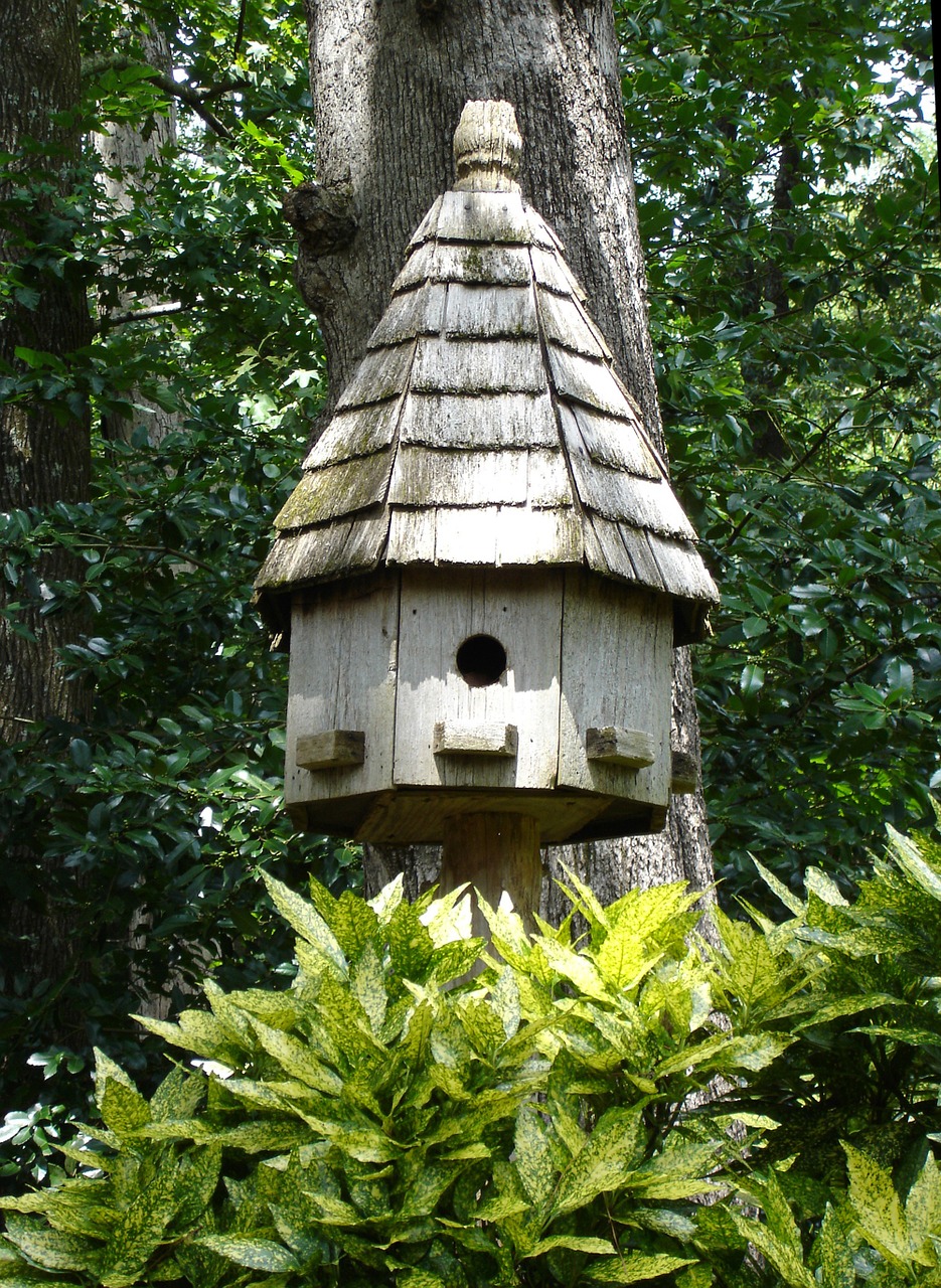birdhouse nature decoration free photo
