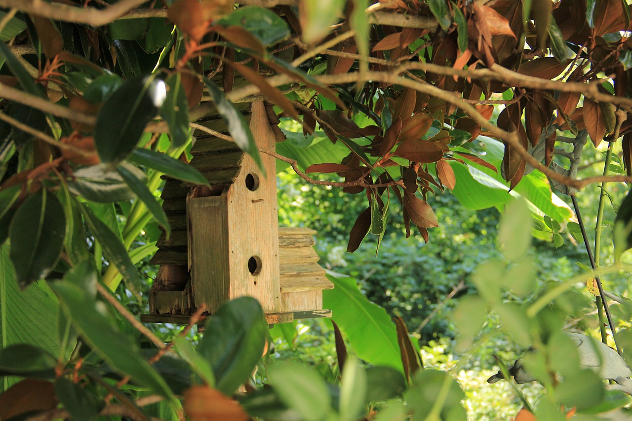 birdhouse bird house wooden free photo