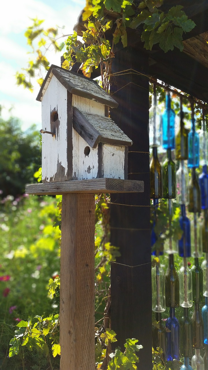 birdhouse rustic bird free photo