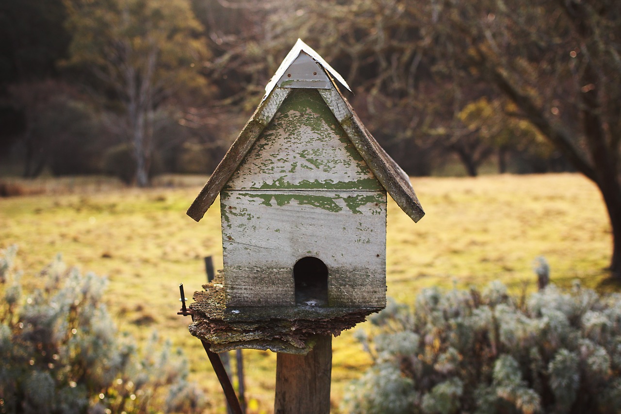 birdhouse house green free photo