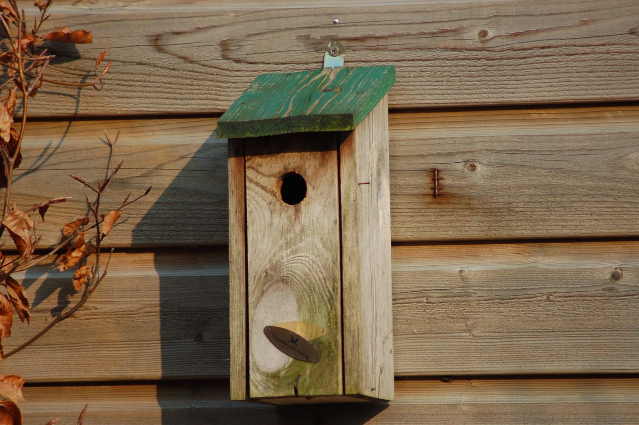 birdhouse wood garden free photo