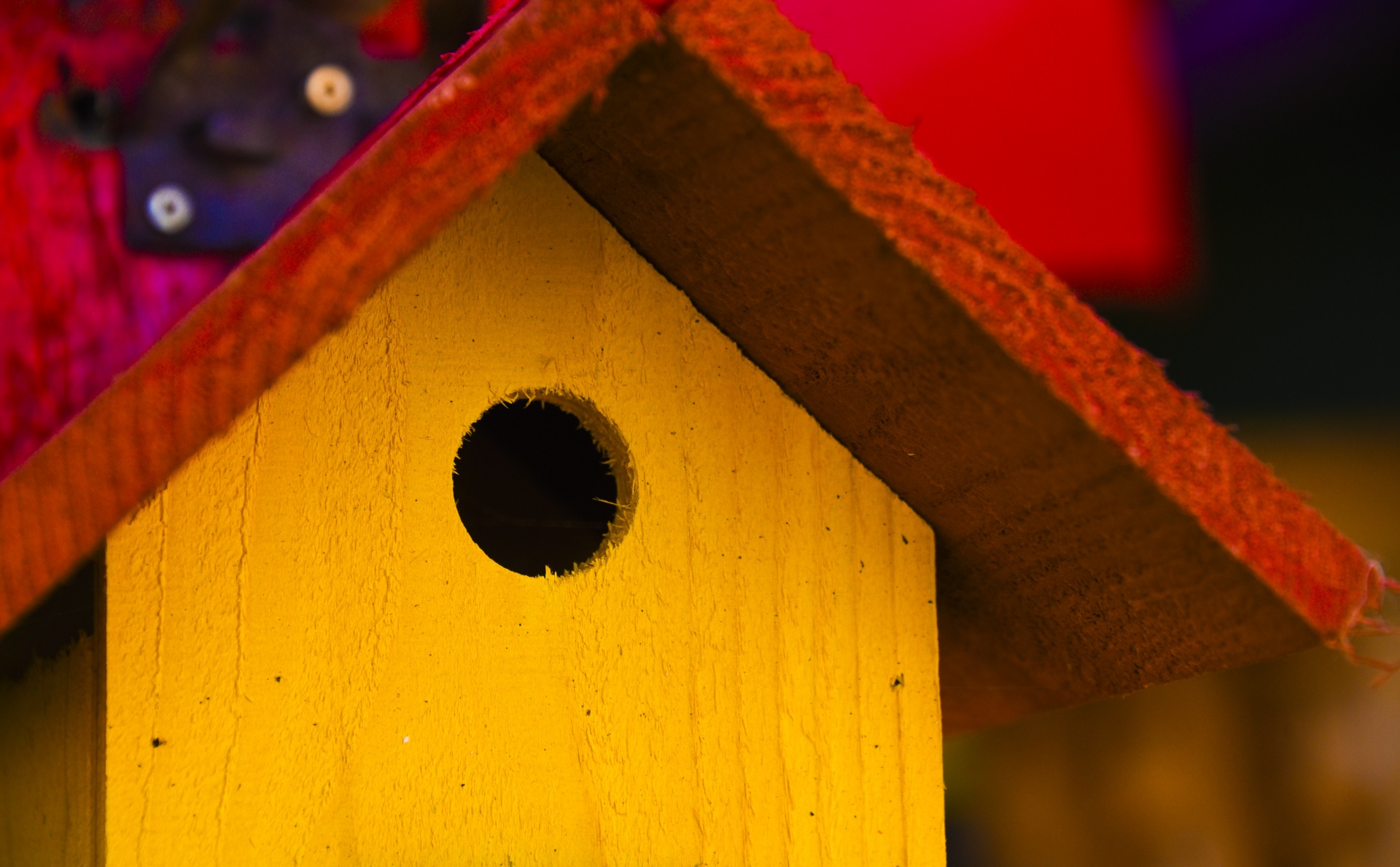 birdhouse wood yellow free photo