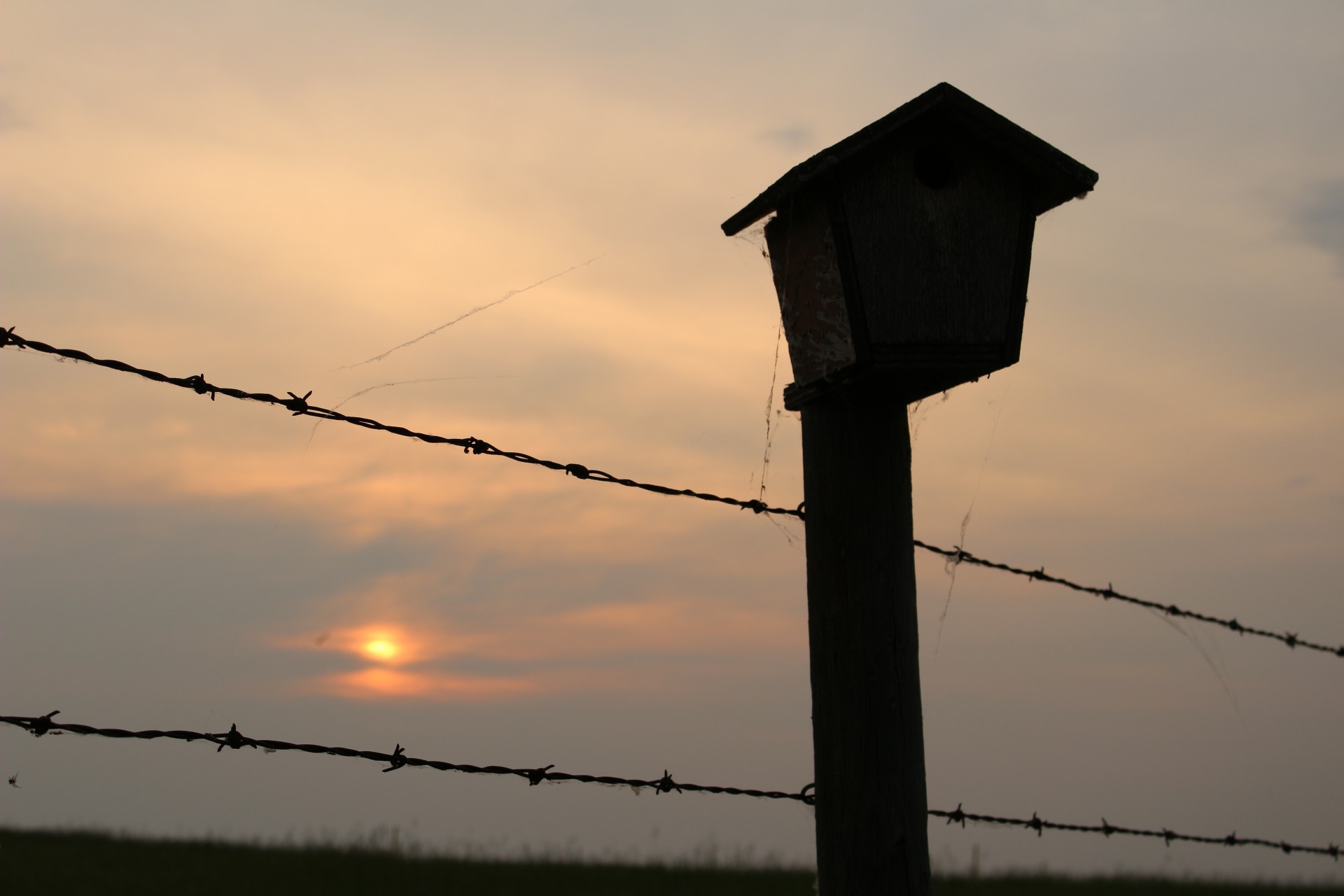 birdhouse post barbed free photo