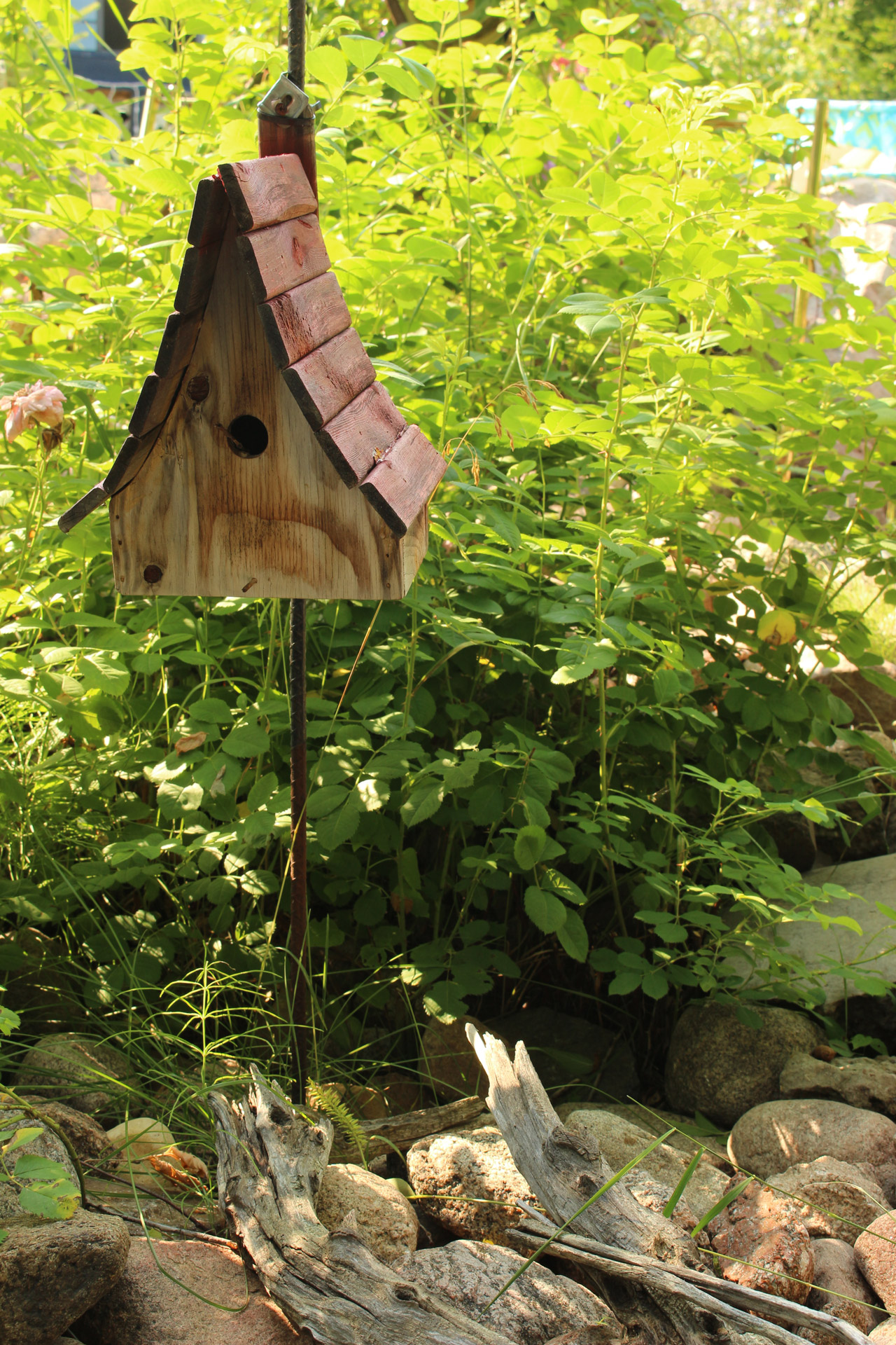 birdhouse wood brown free photo