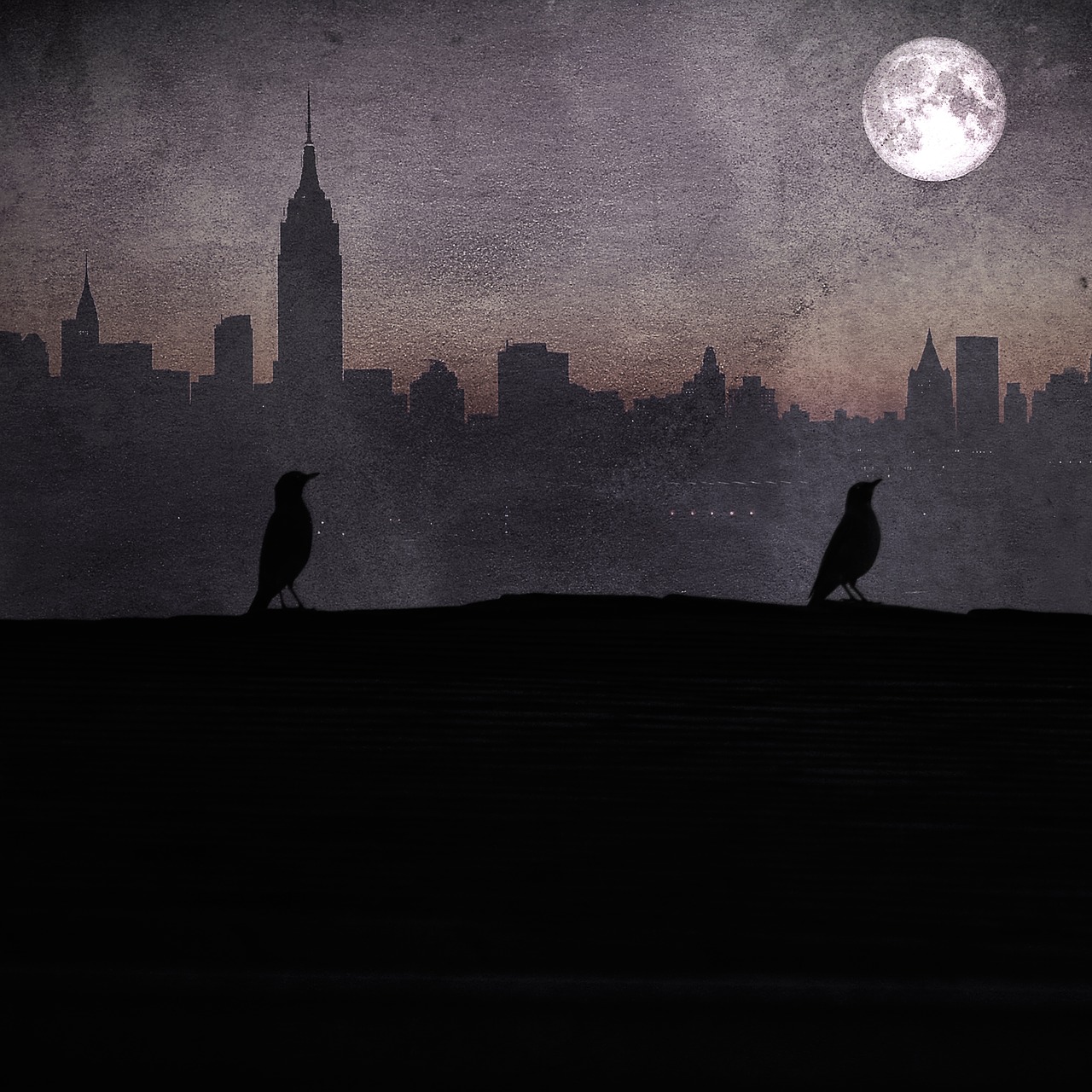 birds rooftop spooky free photo