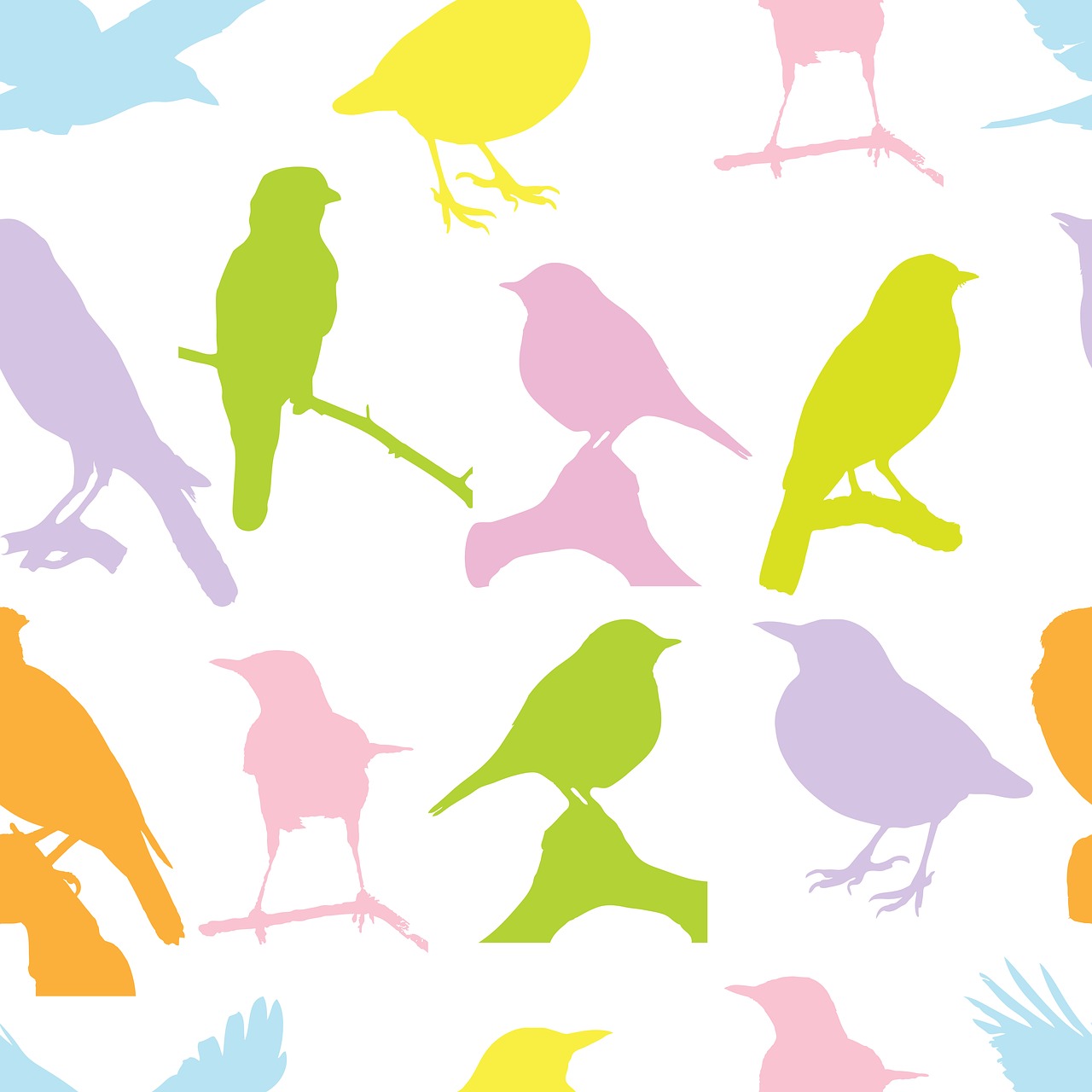 birds colourful background free photo