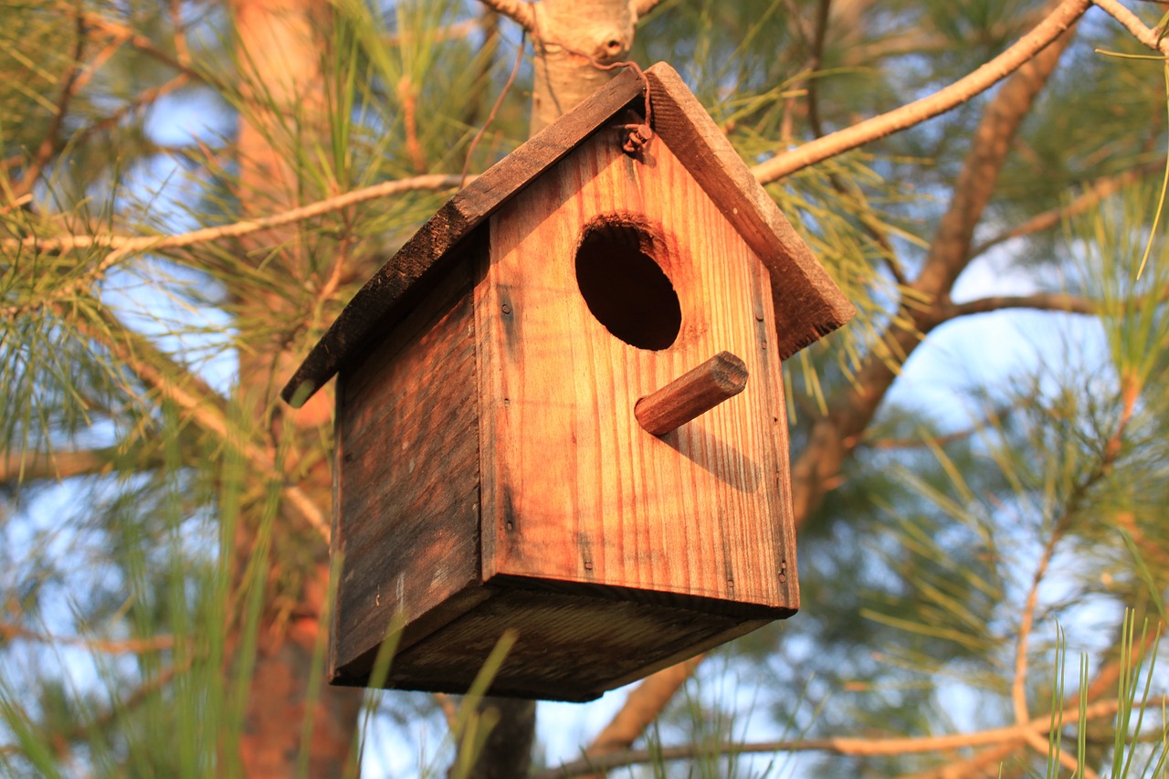 birds casita wood free photo