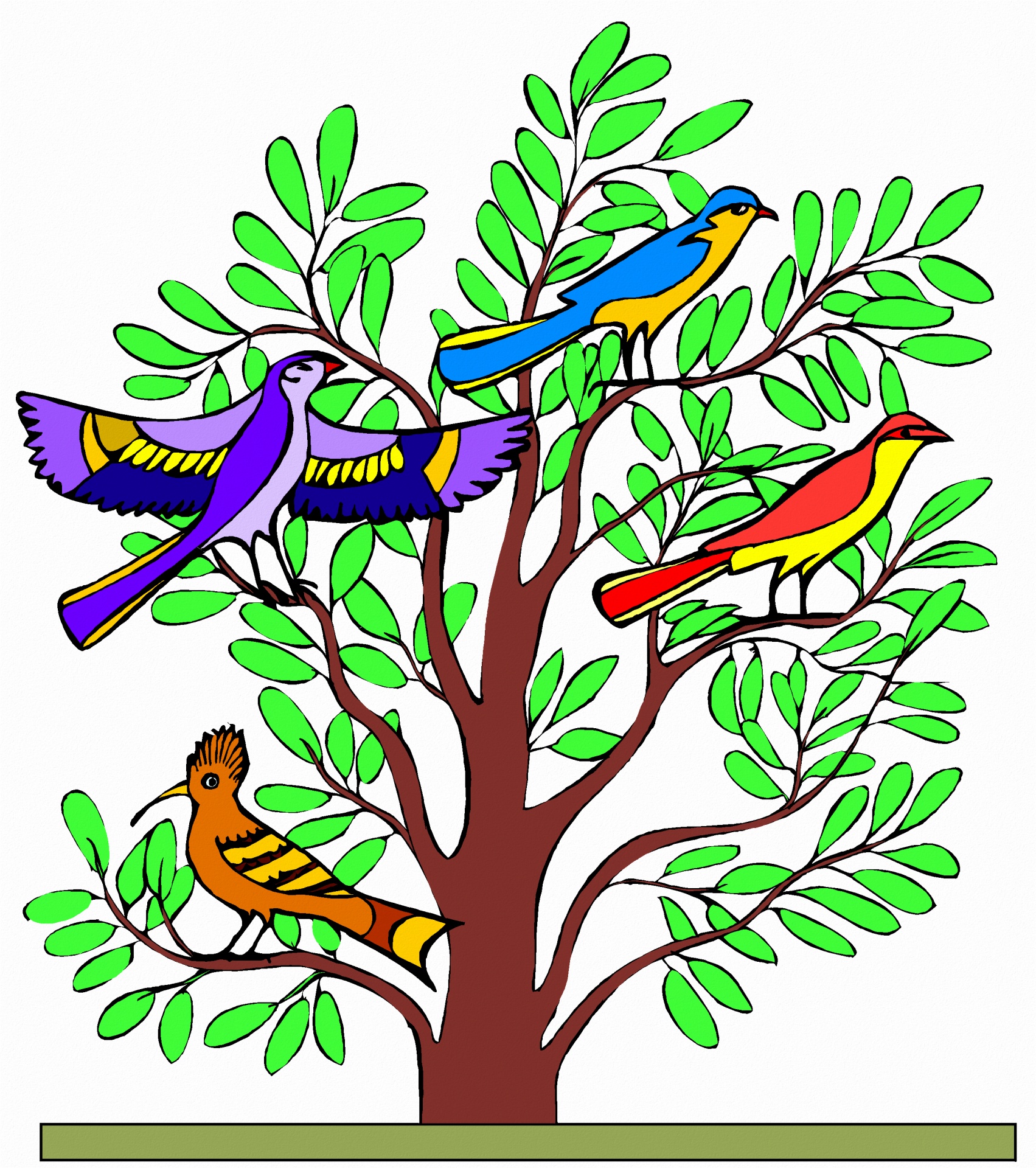 bird nature illustration free photo