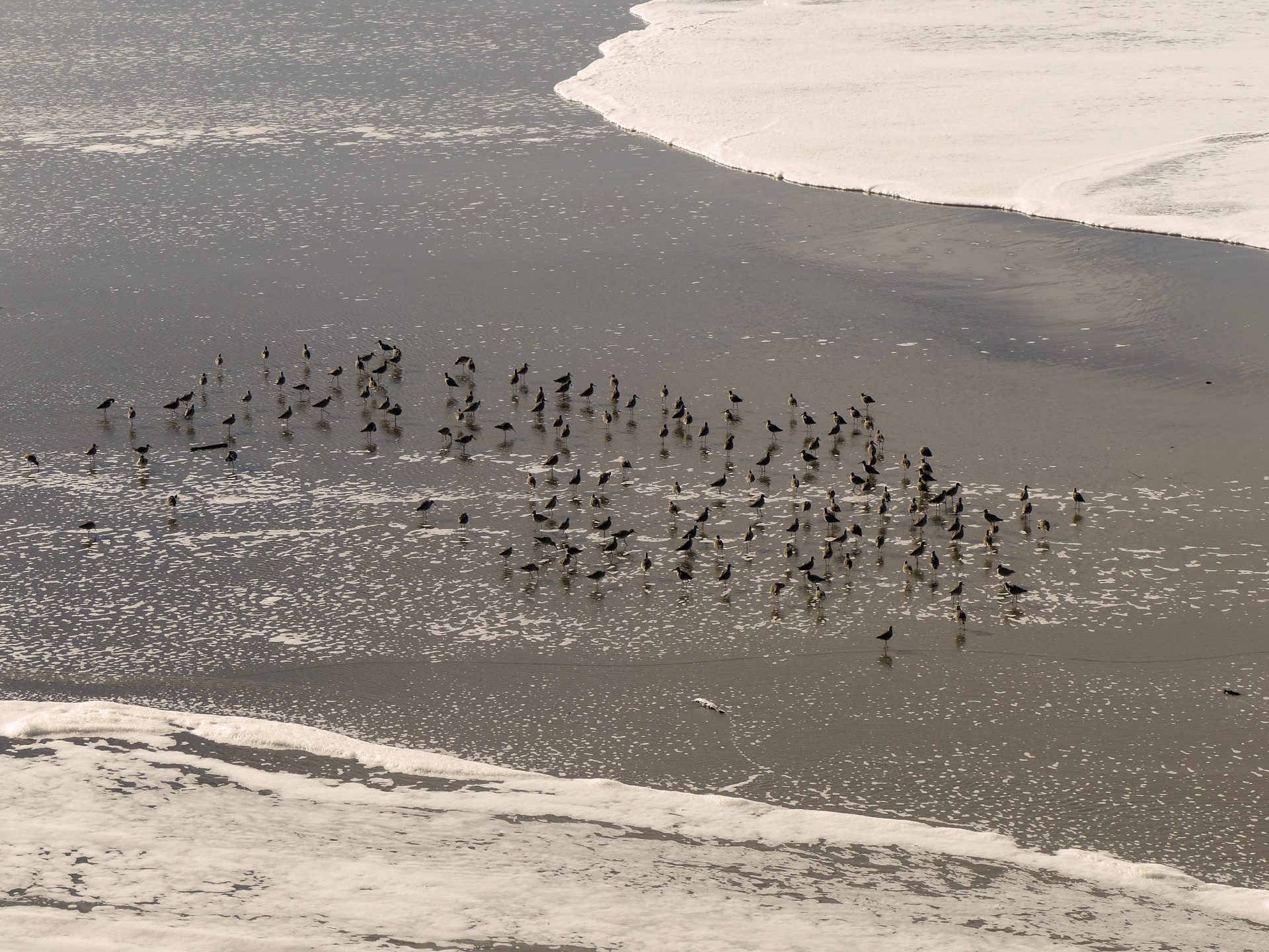 ocean tide low free photo