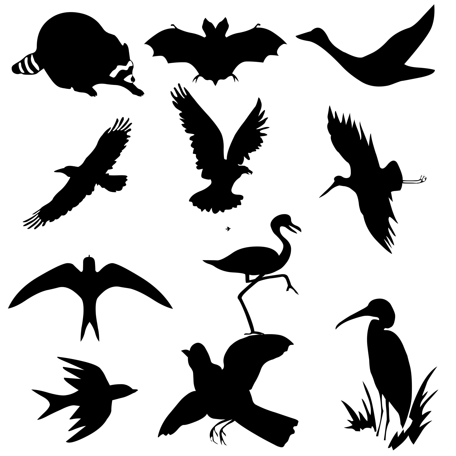 flying bird icon free photo