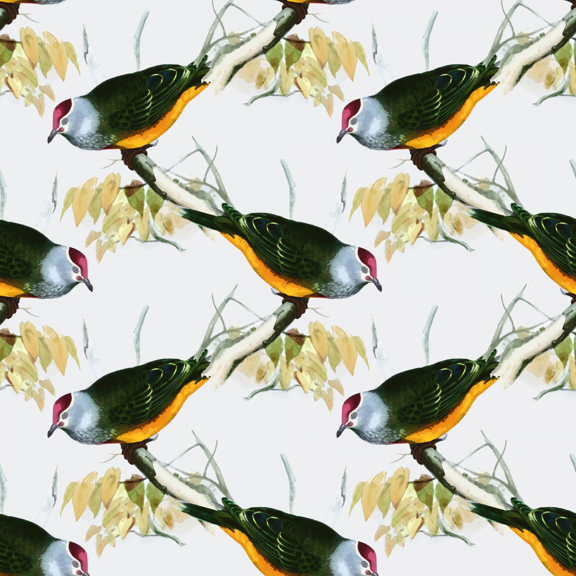 bird birds background free photo