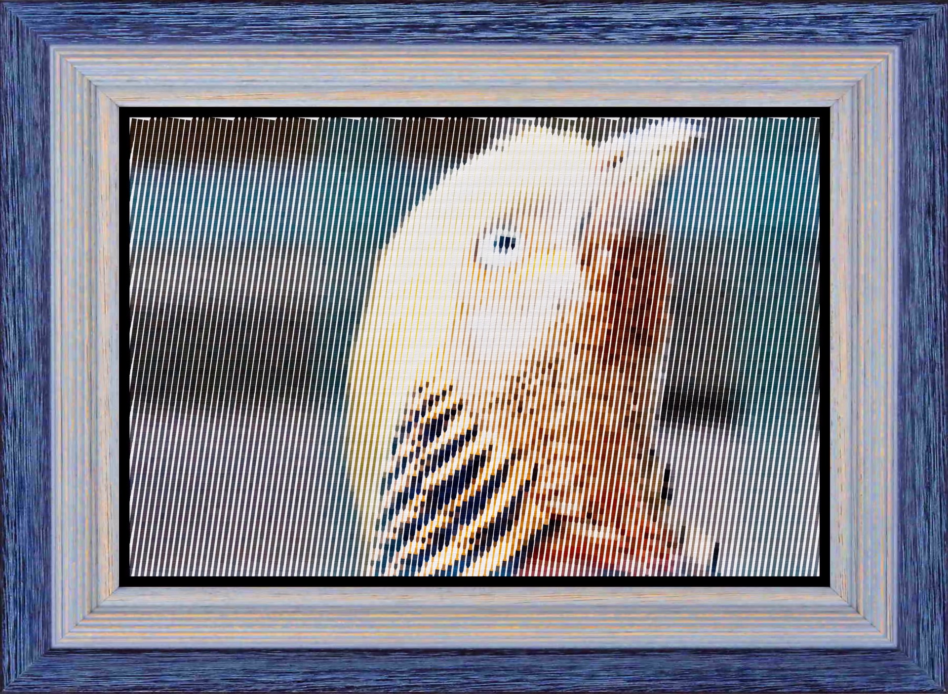 birdy frame photo free photo