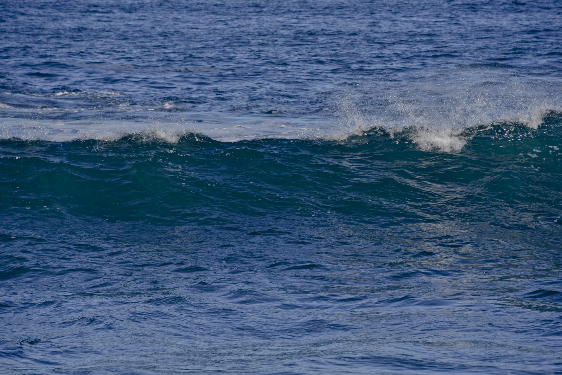 wave ocean asilomar state beach free photo