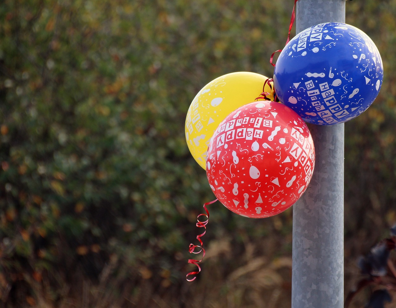 birthday balloon happy birthday free photo