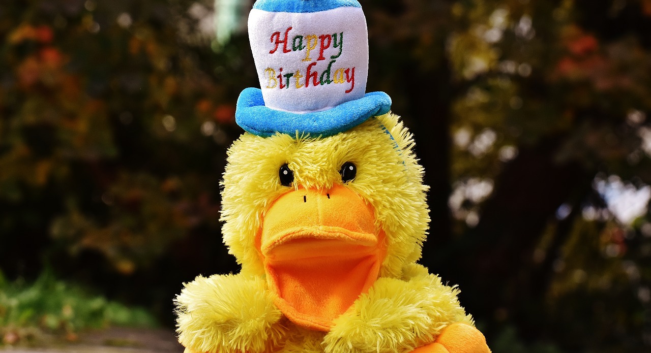birthday congratulations duck free photo