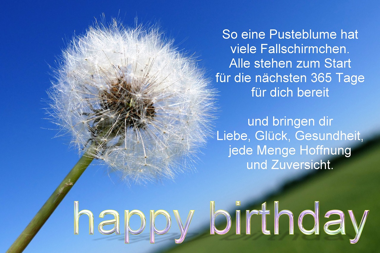 birthday birthday greeting birthday card free photo