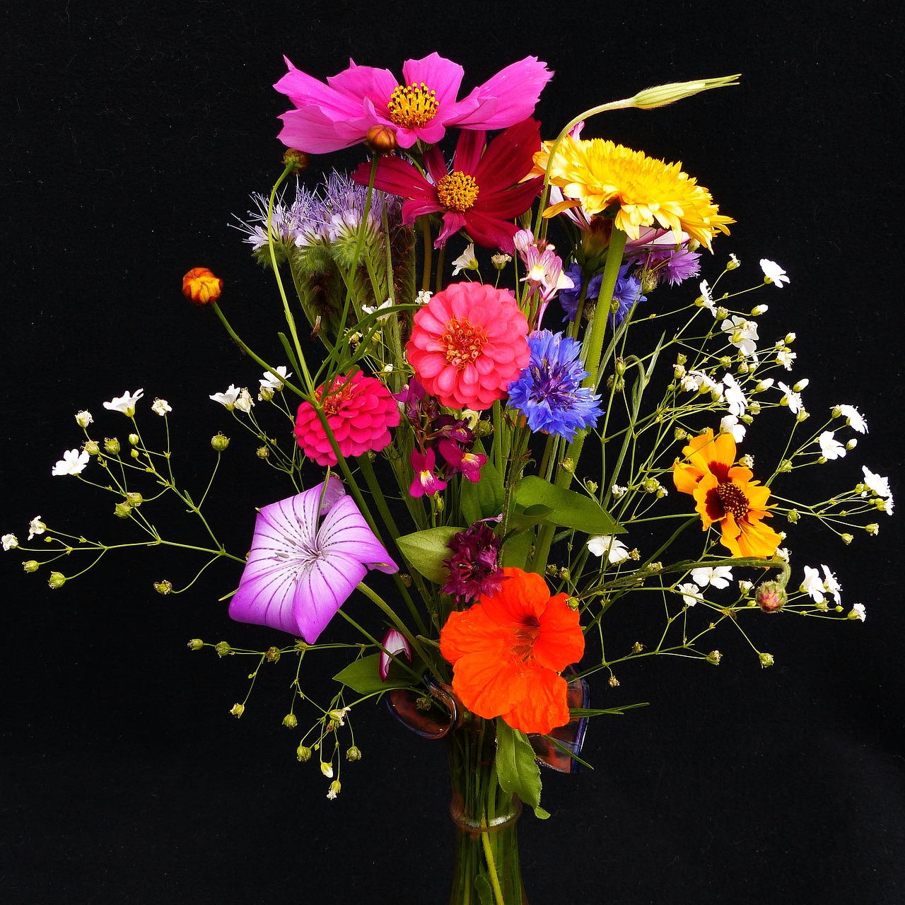 birthday bouquet wildflowers pointed bouquet free photo