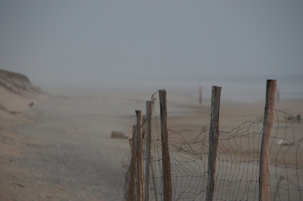 biscarrosse atlantic dune free photo