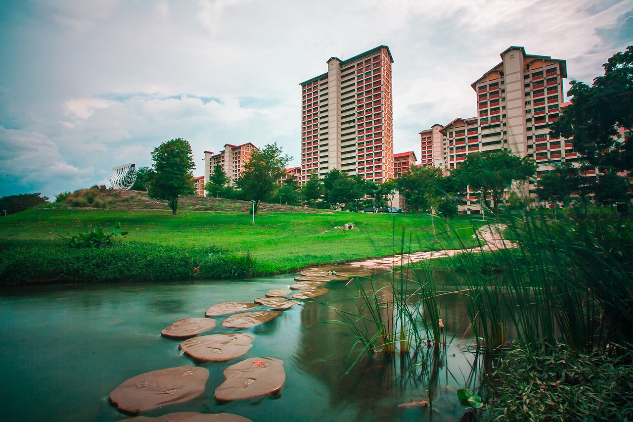 bishan bishanpark water free photo