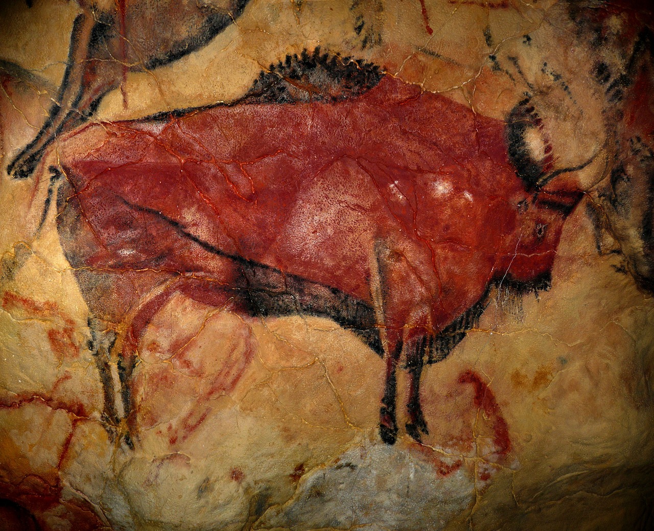 bison cave of altamira prehistoric art free photo