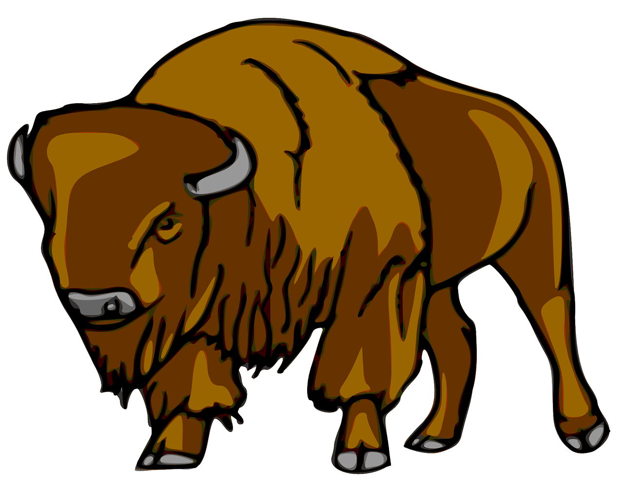 bison mammal animal free photo