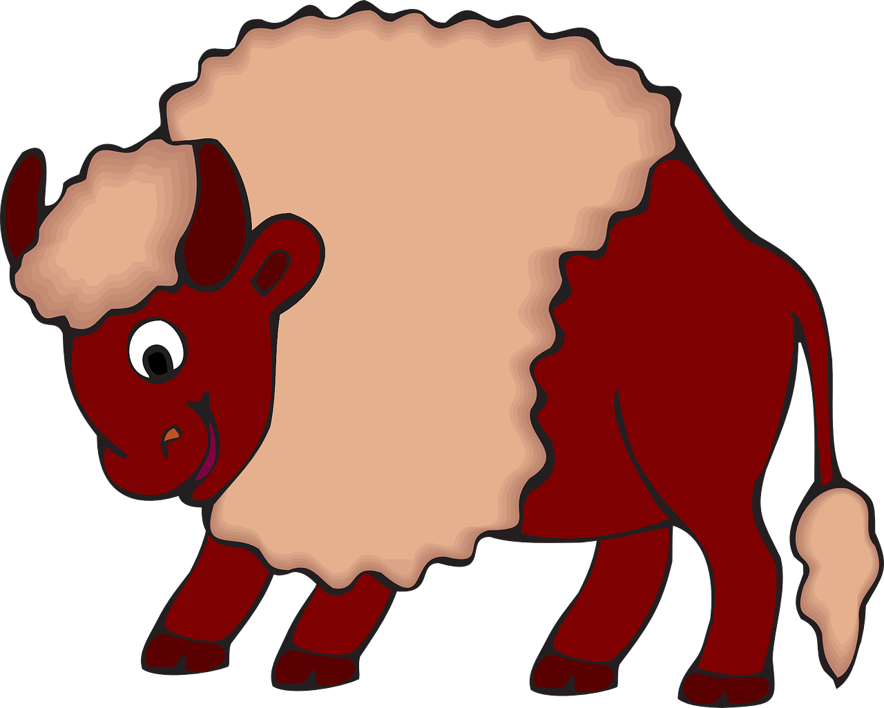 bison buffalo bull free photo