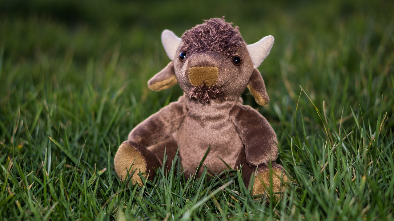 bison  grass  stuffed free photo