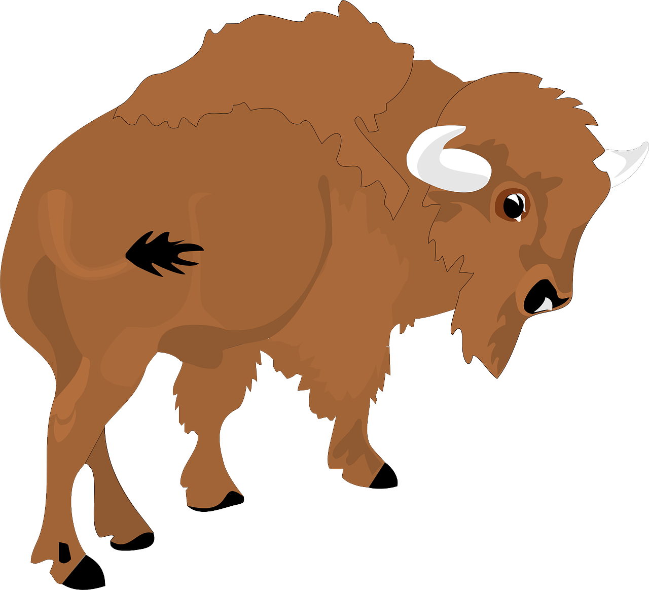 bison view large free photo